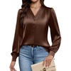 Blooming Jelly Womens Dressy Casual Blouses Long Sleeve Fall Work Tops(Brown)