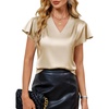Blooming Jelly Women’s Satin Ruffle Sleeve Blouse – Dressy Casual Business Wear(Beige)